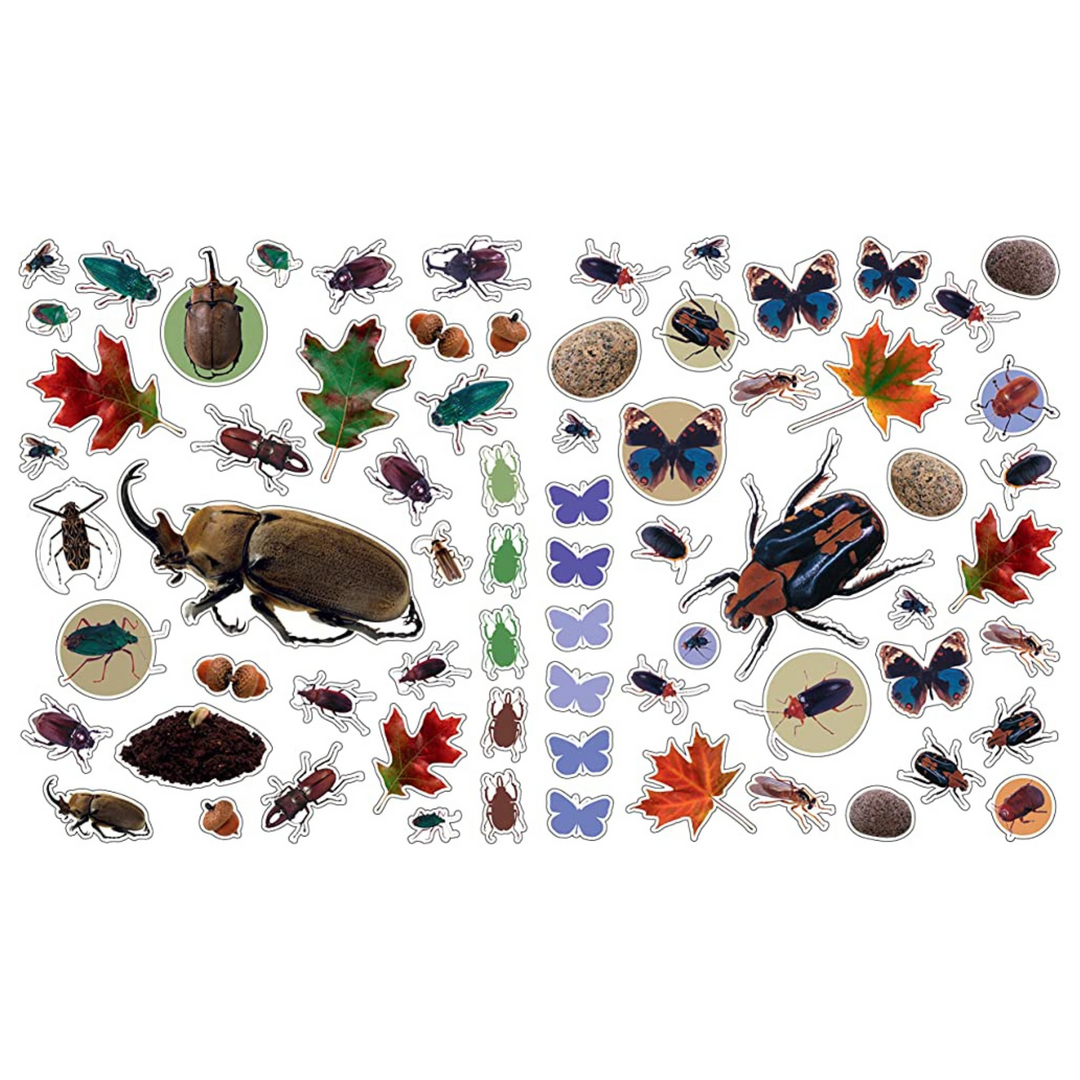 LIBROS DE STICKERS DE INSECTOS
