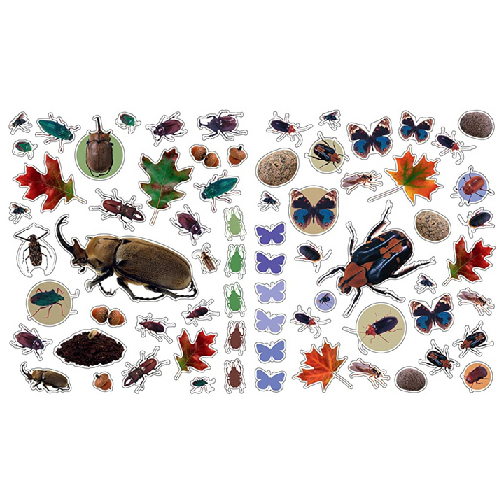 LIBROS DE STICKERS DE INSECTOS