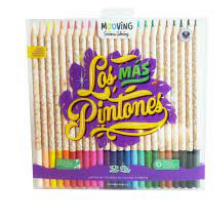 SET 24 LAPICES COLORES PREMIUM
