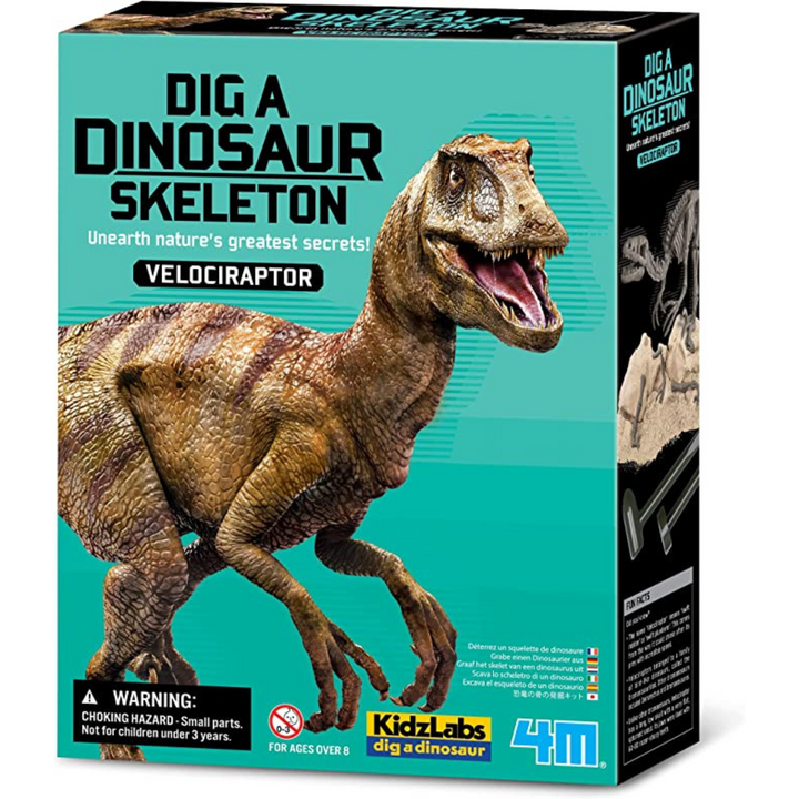 Ciencia Excava Dinosaurio Velociraptor