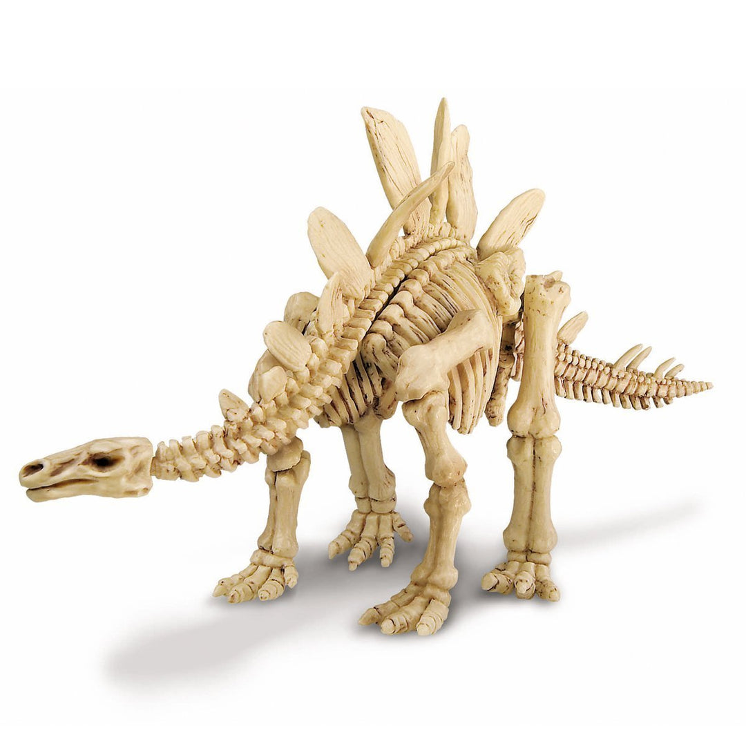 STEGOSAURUS